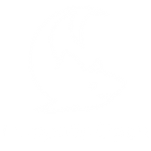 Международная олимпиада Innopolis Open по профилю «Финтех»