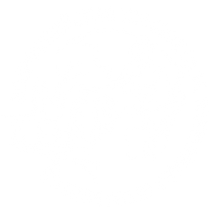 Всероссийская Толстовская олимпиада школьников по литературе